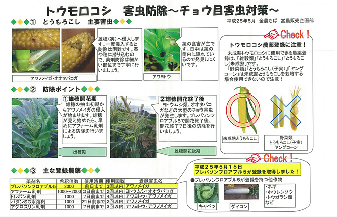 【トウモロコシ】害虫防除について