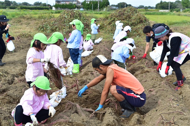 青年部白子支部にて芋ほり体験が行われました！