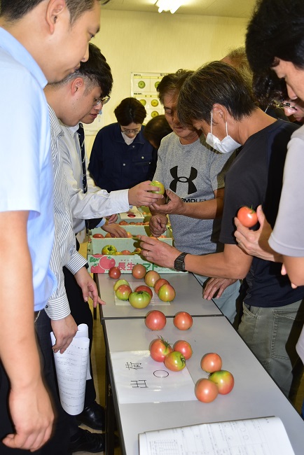 令和6年産越冬期トマト査定会