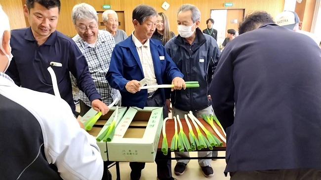 プレミアム夏ねぎ・夏ねぎ査定会