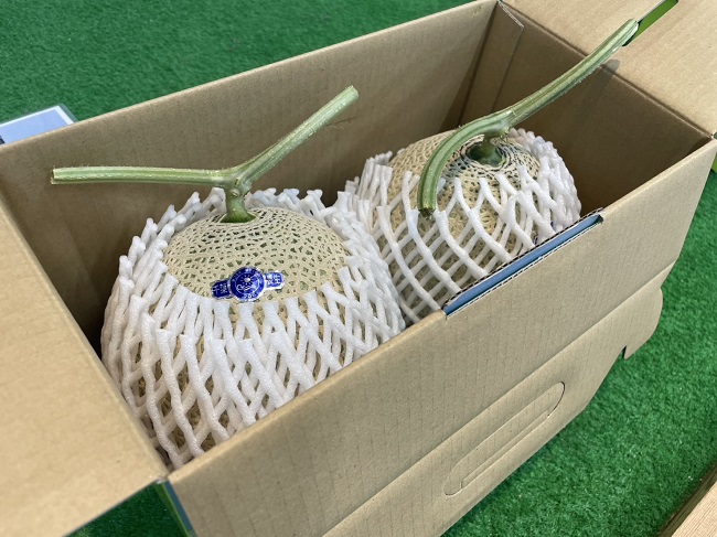 メロンの販売が開始しました！