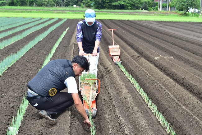 第2回長生（ながいき）農業塾　ネギコース