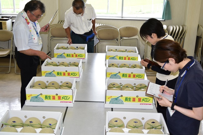 アールスメロン共進会