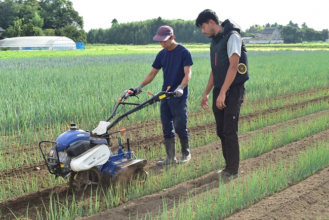 第3回長生（ながいき）農業塾ネギコース