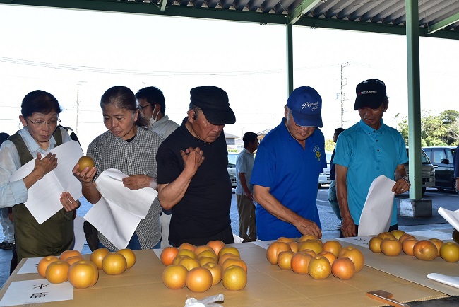 ながいき梨「豊水・あきづき」目揃え会