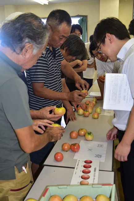 抑制越冬期トマト査定会