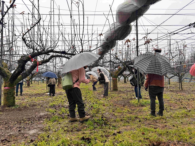 長生（ながいき）農業バスツアー