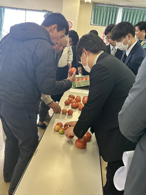 春期トマト査定会