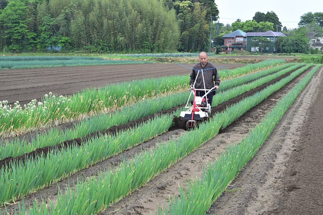 第3回長生（ながいき）農業塾夏ネギコース