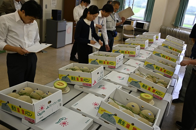 令和8年産アールスメロン共進会