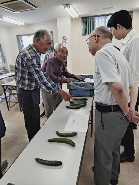 抑制キュウリ査定会